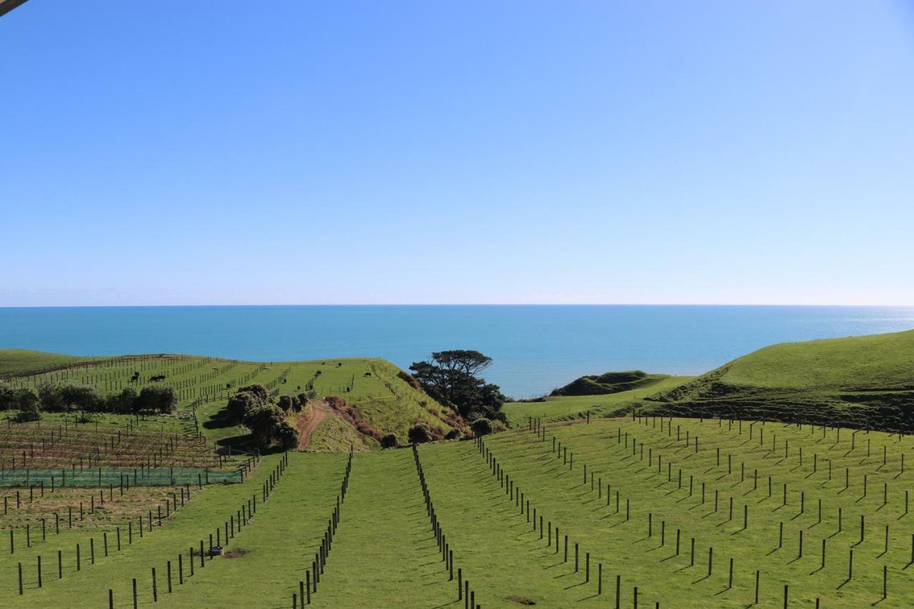 Chalets at Okurukuru New Plymouth Bagian luar foto