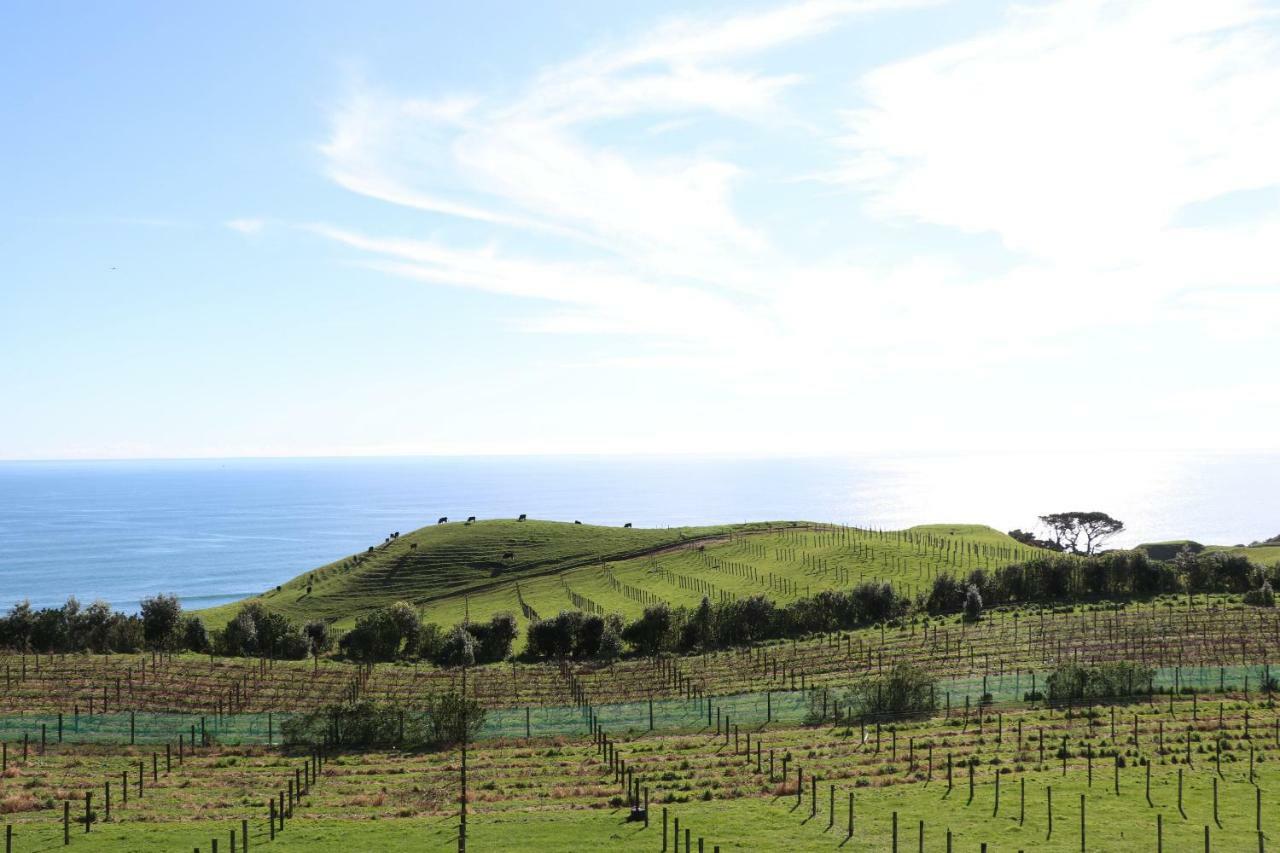 Chalets at Okurukuru New Plymouth Bagian luar foto